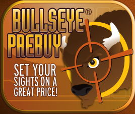 Bullseye Program Brochure