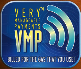 VMP Program Brochure