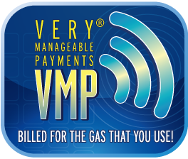 VMP Program Brochure